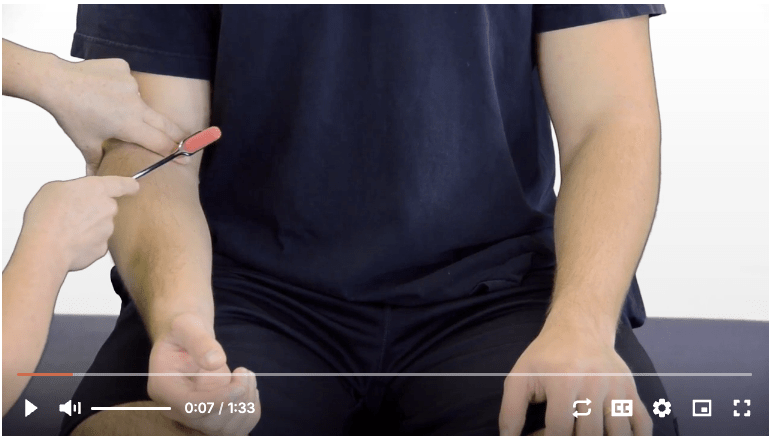 NeuroExam Upper extremity reflexes